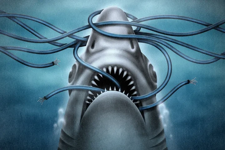 The Shark Myth and the Old Transatlantic Cable That Built the Modern Internet